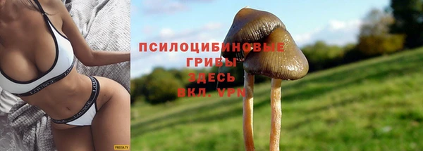 спиды Володарск