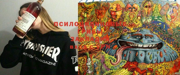 гашик Волоколамск