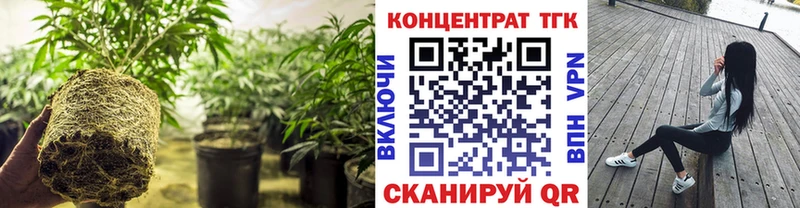 Купить закладки  Новошахтинск  ТГК жижа 