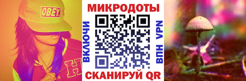 Купить закладки  Новошахтинск  Псилоцибиновые грибы Psilocybine cubensis 